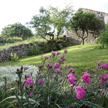 Casa vacanze Casa Da Ti Galinha