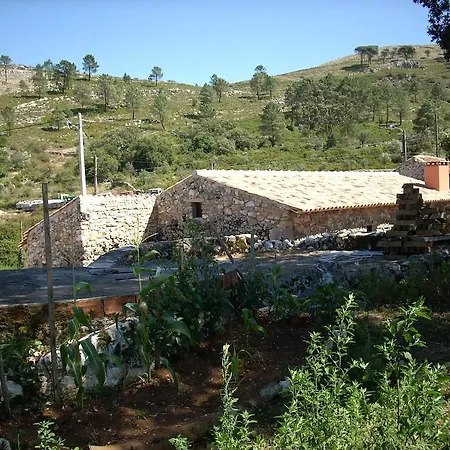 Casa Da Ti Galinha Porto de Mós